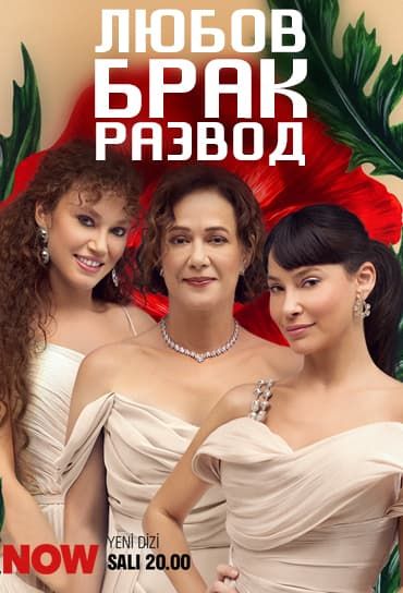 Любовь, брак, развод