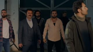 Одинокий волк