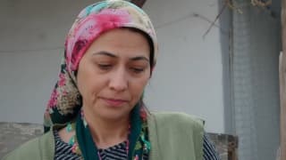 Одинокие сердца