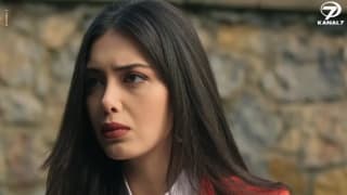Кровавые цветы