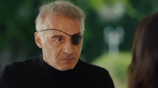 Жар-птицы