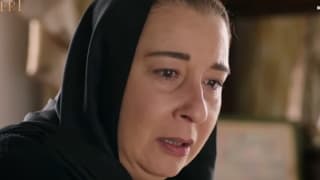 Кровавые цветы