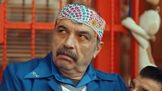 Кодовое имя Ласточка