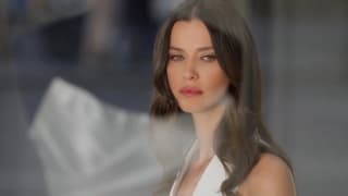 Черная Шелковица