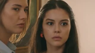 Ветреный холм