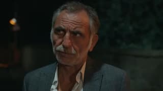 Ночная сказка