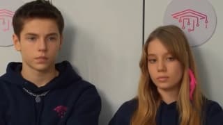 Кодовое имя Ласточка