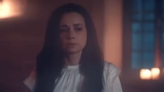 Красные бутоны